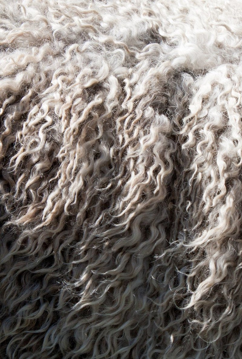 Close-up macro texture shot of grey sheep's wool.